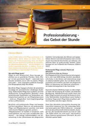 Professionalisierung - das Gebot der Stunde